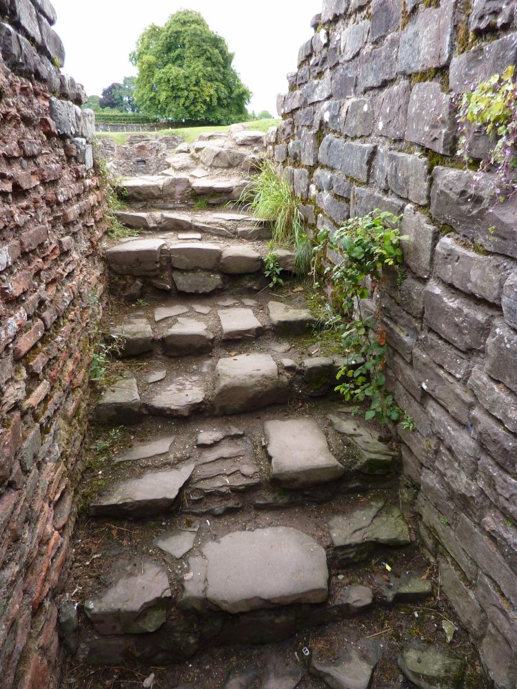 Worn stone steps leading up between two vegetation covered brick and stone walls. A tree is in the distance