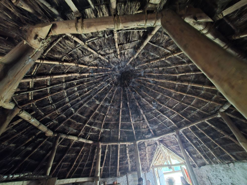 Interior ceiling of recreation Iron Age roundhouse showing ring beam and thatch