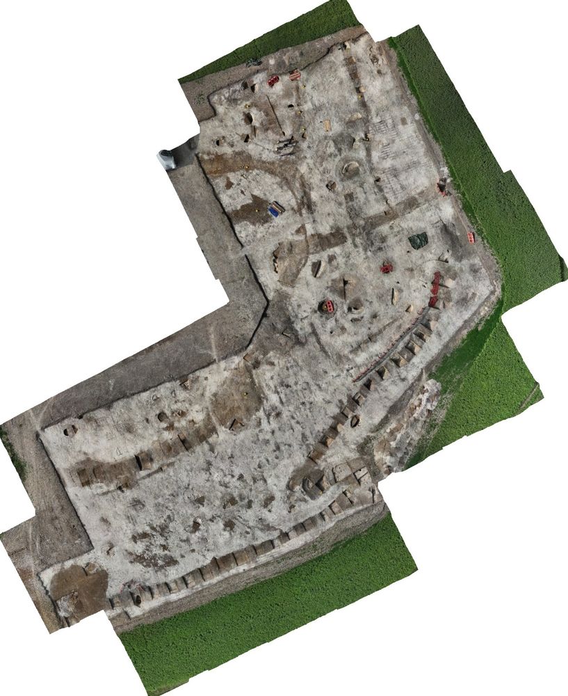 Aerial photo of the archaeological ditches and pits showing up dark brown against the white natural chalk