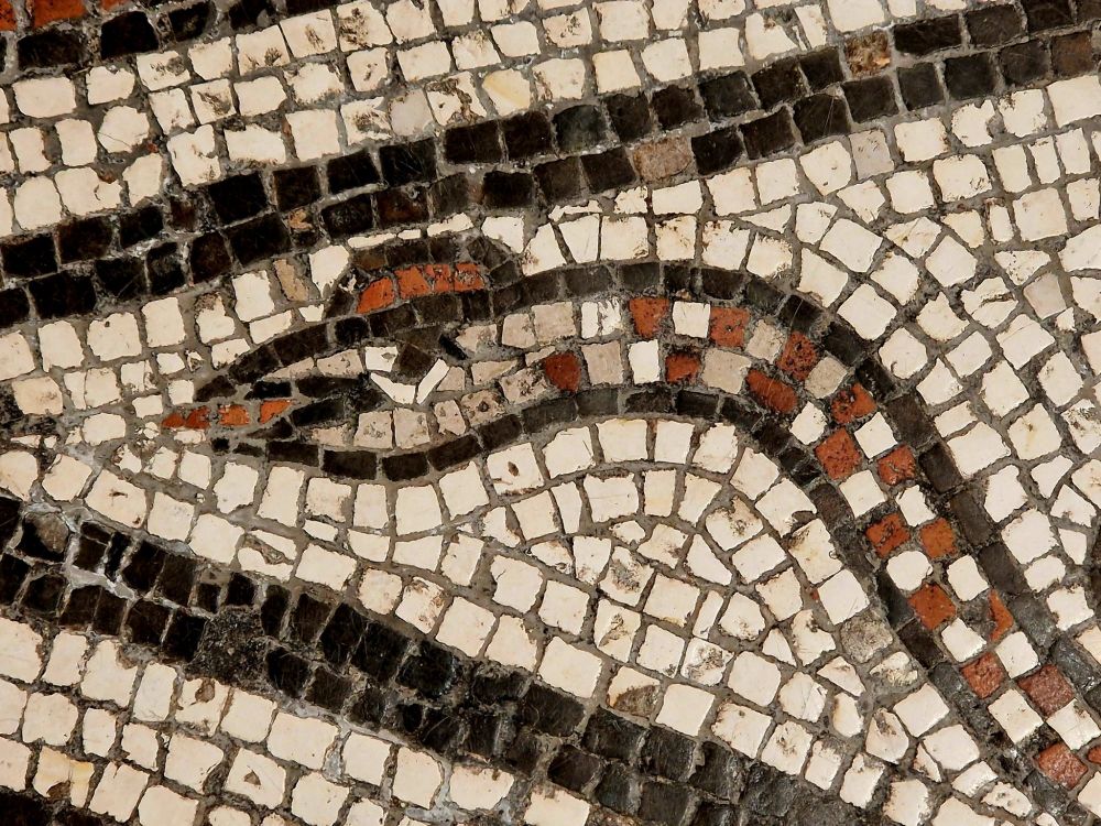 Depiction, from a Roman mosaic, of a red crested snake sticking out its tongue