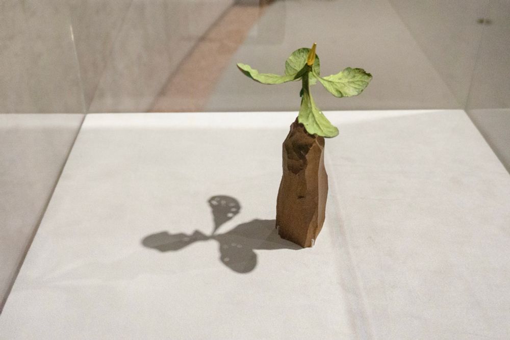 《雑草》 須田悦弘 1998年 木に彩色 練馬区立美術館蔵　