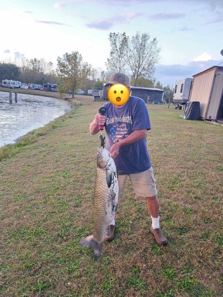 My dad caught a huge fish at a little pond 