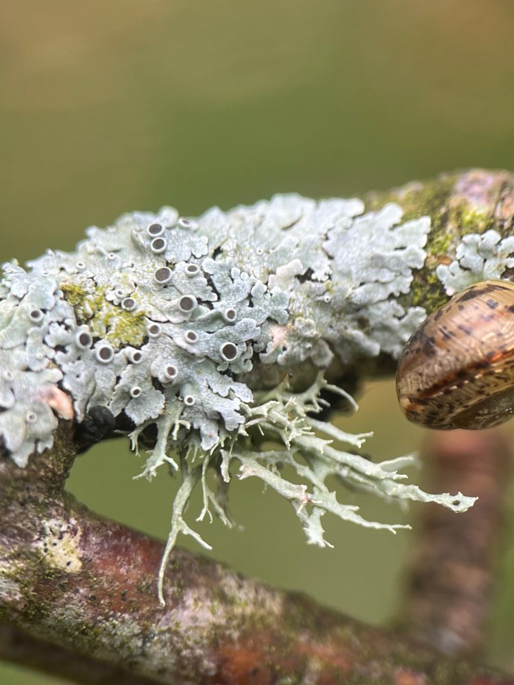 Same picture as before slightly different angle 