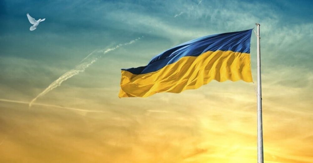 Essen für Viele - Mahlzeiten für die Ukraine – Terra Vision gUG (haftungsbeschränkt) – betterplace.org