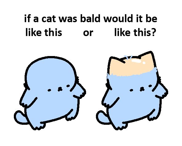 The image is a humorous illustration featuring a question about what a bald cat would look like. It shows two cartoonish, blue cats. On the left, there's a completely bald cat, depicted with a smooth, rounded head. On the right, there's another cat with only the top of its head bald, while the rest of its body remains furry. The text above the images reads, "if a cat was bald would it be like this or like this?"