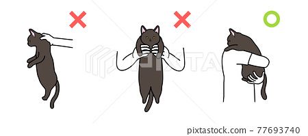 Comment image