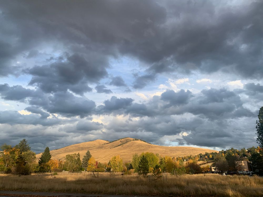Sunlight shines upon the golden grasses of a bit too distant mountain hillside, with diverse trees growing in the valley beneath. Grey clouds gently stretch across the vast sky. 