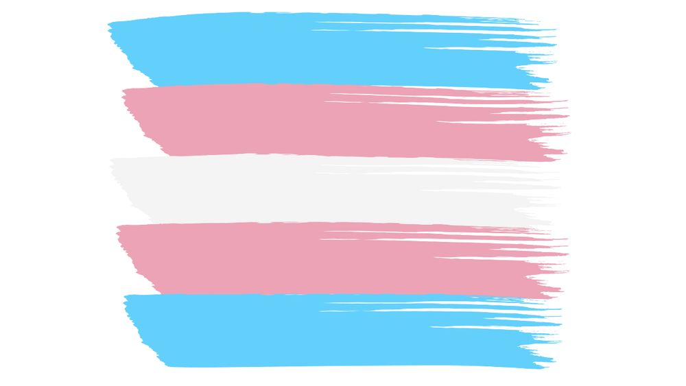 Painted brushstrokes in trans flag colours of blue, pink and white.