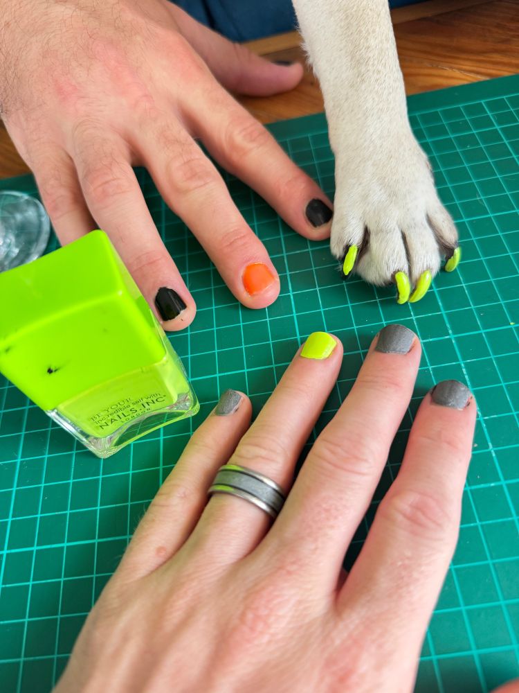 POV PHOTO: my hand, my husbands hand and a pug paw all with painted neon nails