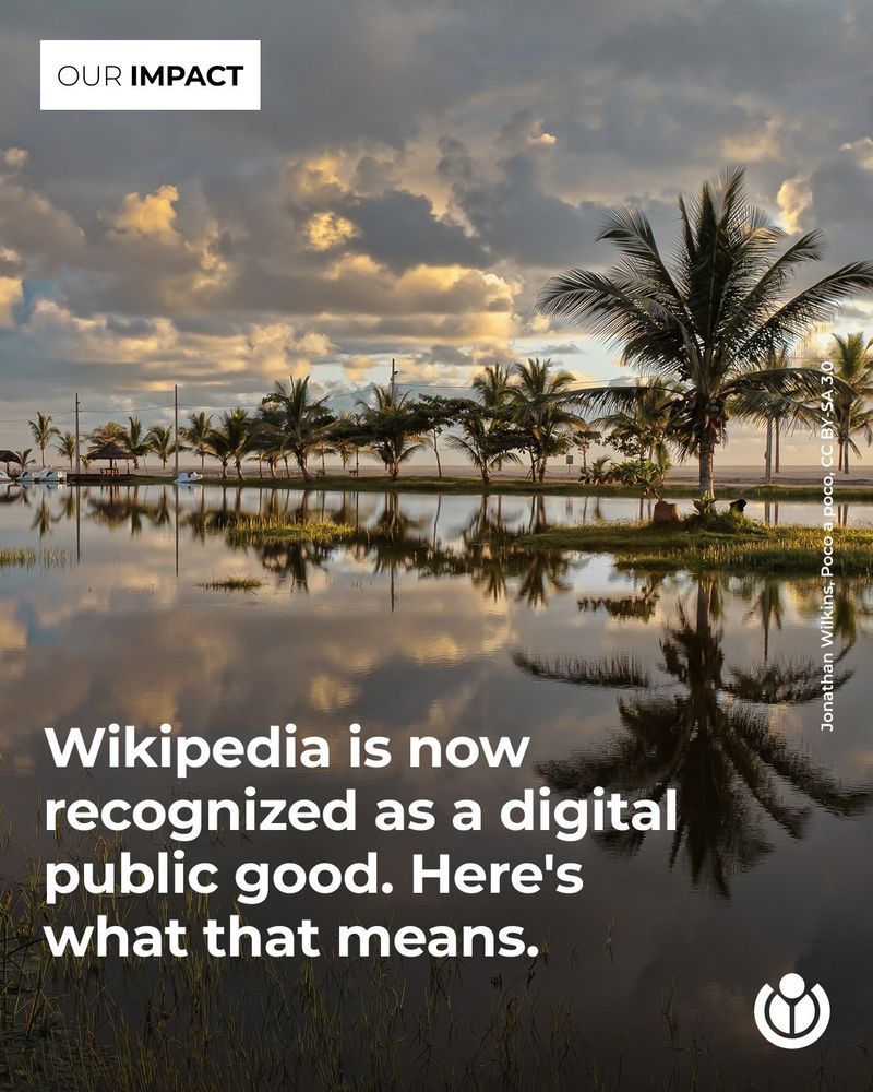Early morning in Prado, Bahia, Brazil. Text says: Wikipedia is now recognized as a digital public good. Here's what that means.