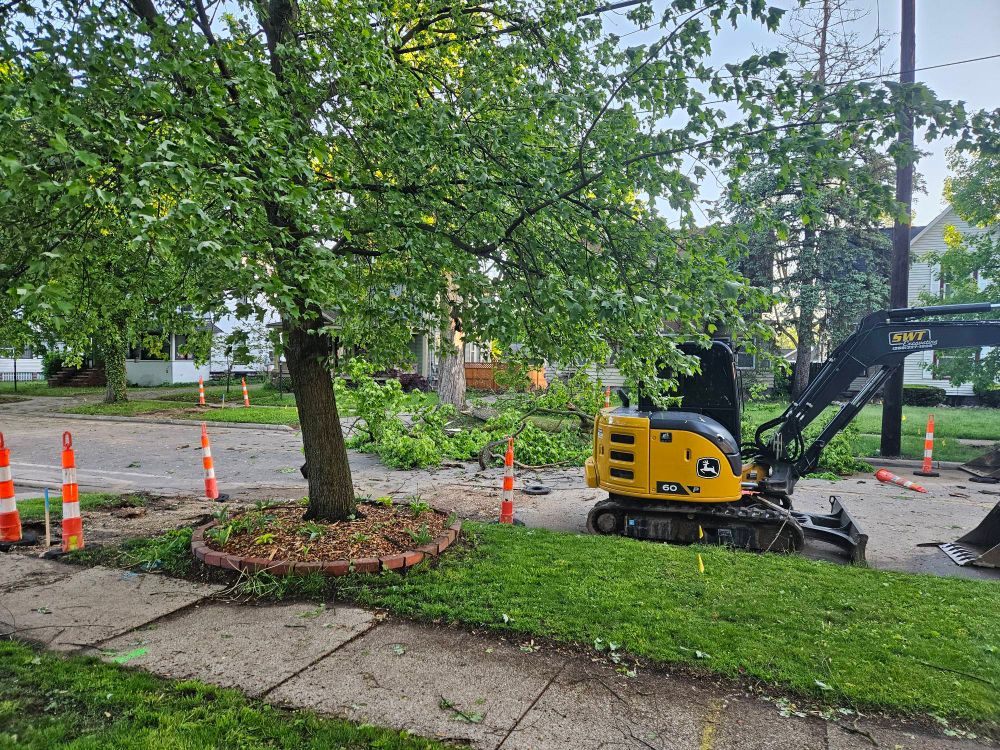 Another view of a bright sunny morning with the remains of overnight storm damage. There's half a tree down across the street, and in the foreground there's a construction machine