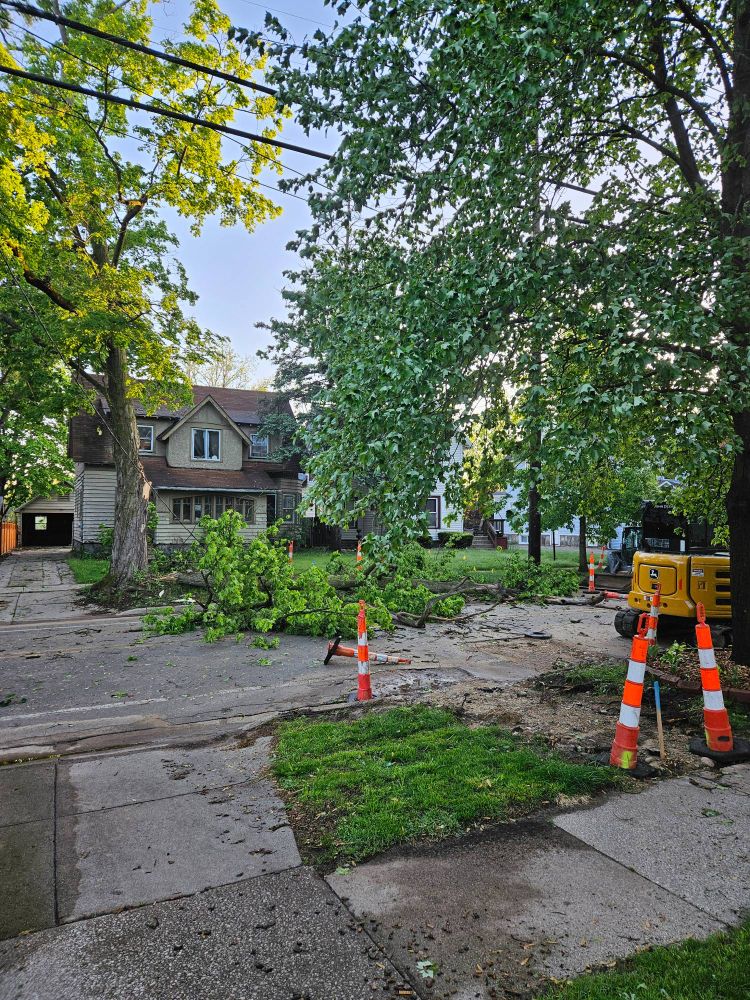 A bright sunny morning with the remains of overnight storm damage. There's half a tree down across the street, and in the foreground there's a big muddy hole in the ground marked off by traffic cones, and a partial view of a construction machine