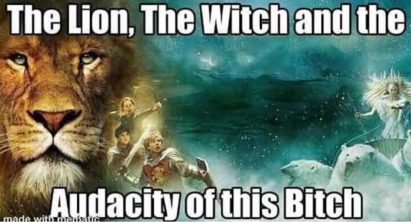 Famous meme that recreates a medieval tale saying The Lion, The Witch and tej Audacity of this Bitch 