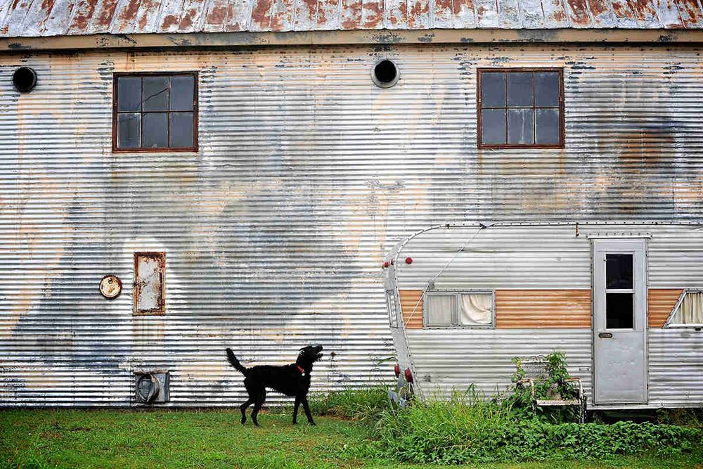 A metal building with rusted windows sits behind an identical metal trailer with a dark steel cutout of a dog with a red collar that stands behind it.