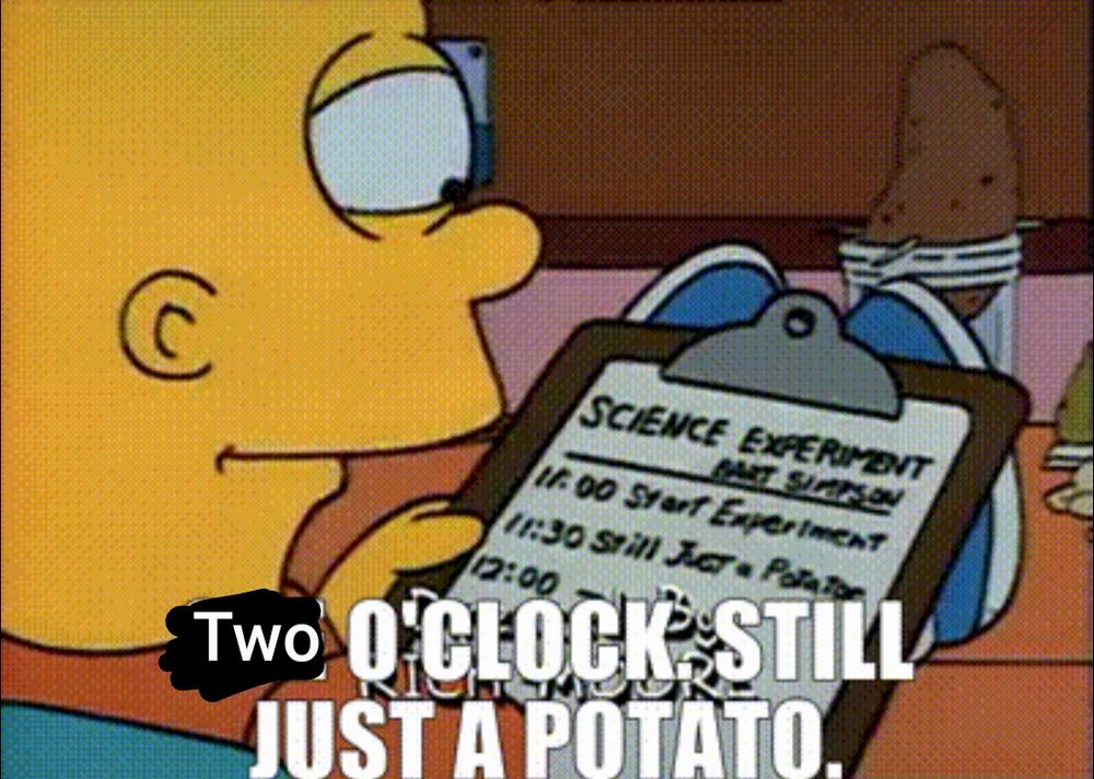 It's a picture of Bart Simpson looking at a clipboard with a piece of paper that says "science experiment" at the top and he's looking at a potato. There's text over the picture that says "Two o'clock. Still just a potato."