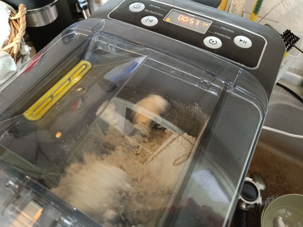 Blick von oben auf meine Philips Pastamaschine. Innen drinnen dreht sich eine Metallschraube mit Teig.