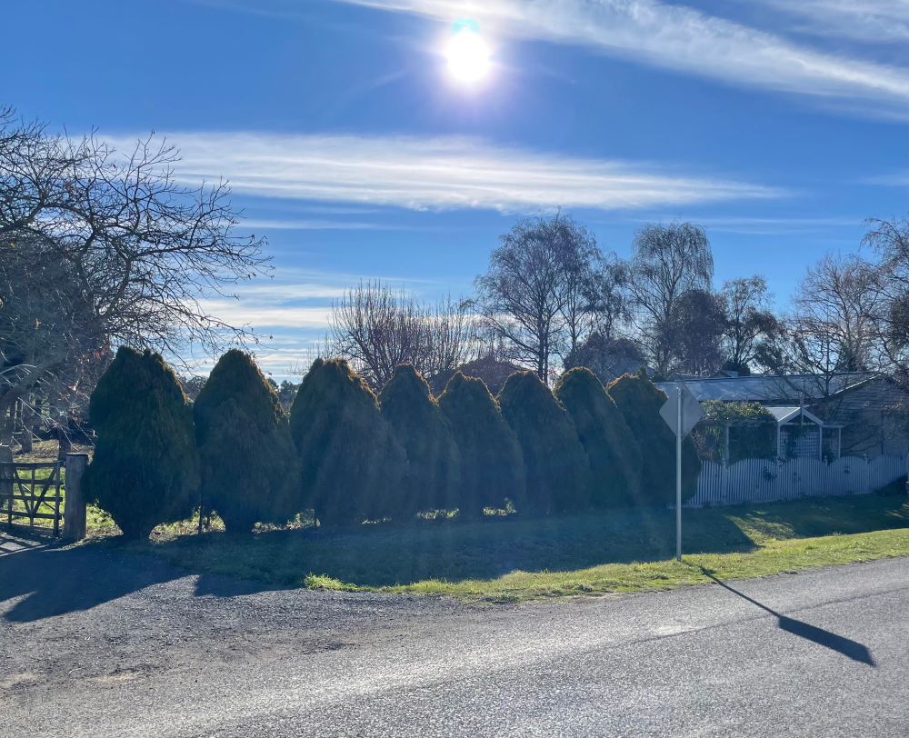 The same scene as before, but with the sun visible and the aggressive backlighting overlaid by lines of glare from the sun. Inspirational? Maybe. 