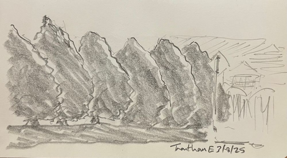 Final version. A drawing of a row of trees making a hedge, with some buildings to the right. They are crudely blocked in to show they’re backlit. 