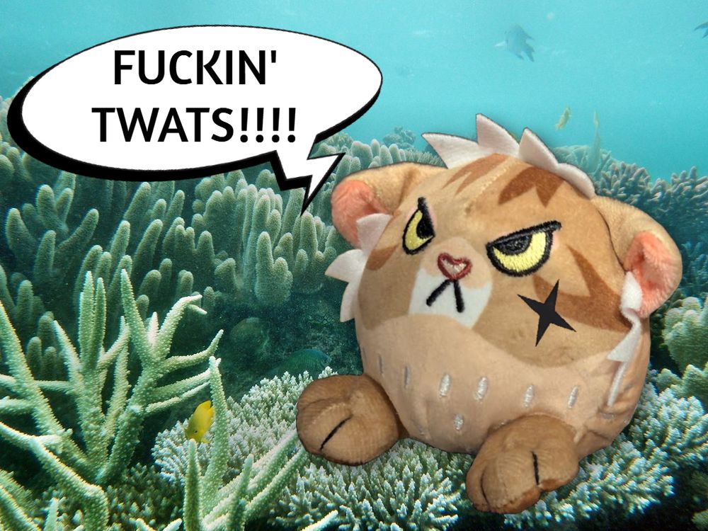 A small round pufferfish cat plush toy with an angry expression, edited with Izzy Hands' tattoo and onto a coral reef background, with a speech bubble that says "Fuckin' twats!!!!"