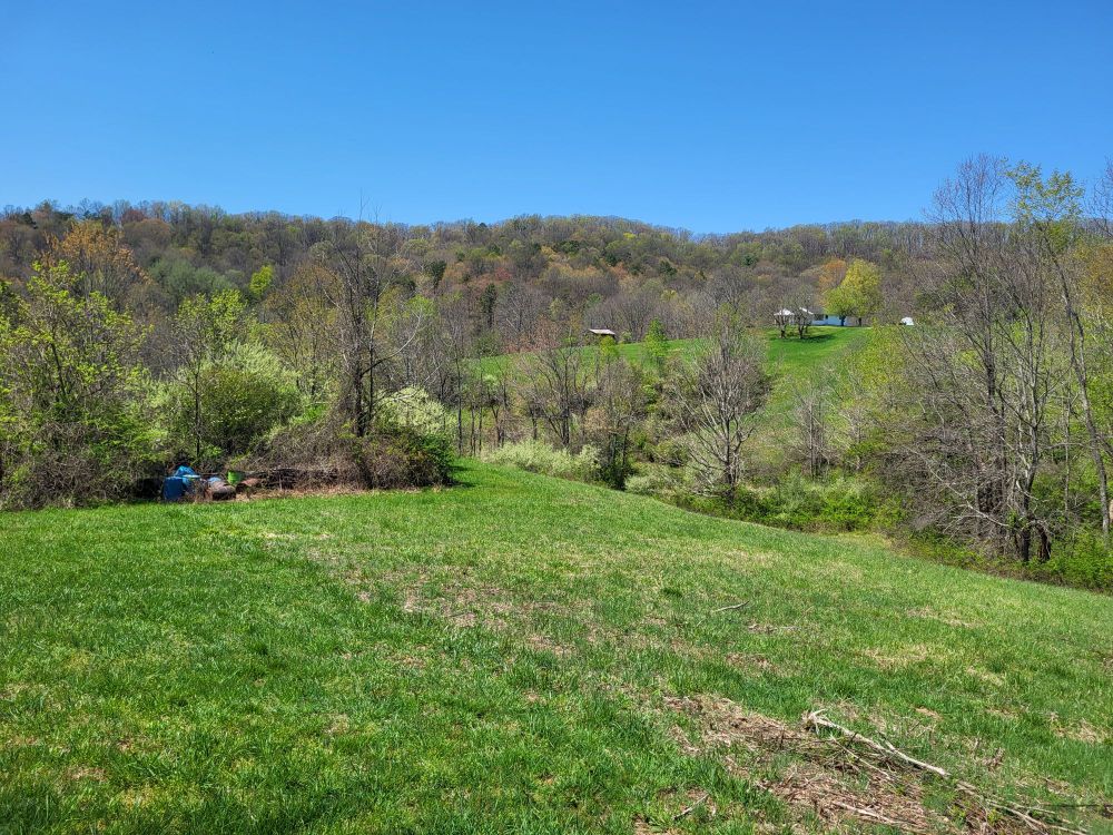 A view over rolling hills toward a wooded horizon 