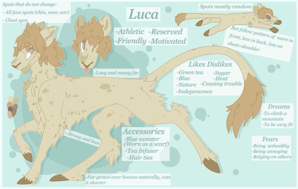 A reference sheet of a deer cat oc that comes from the comic Stardust created by Holly Sarah France