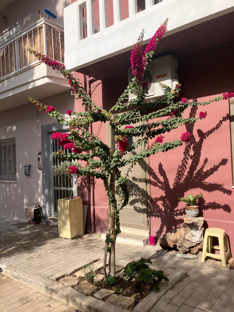 Heraklion, Greece #photography
