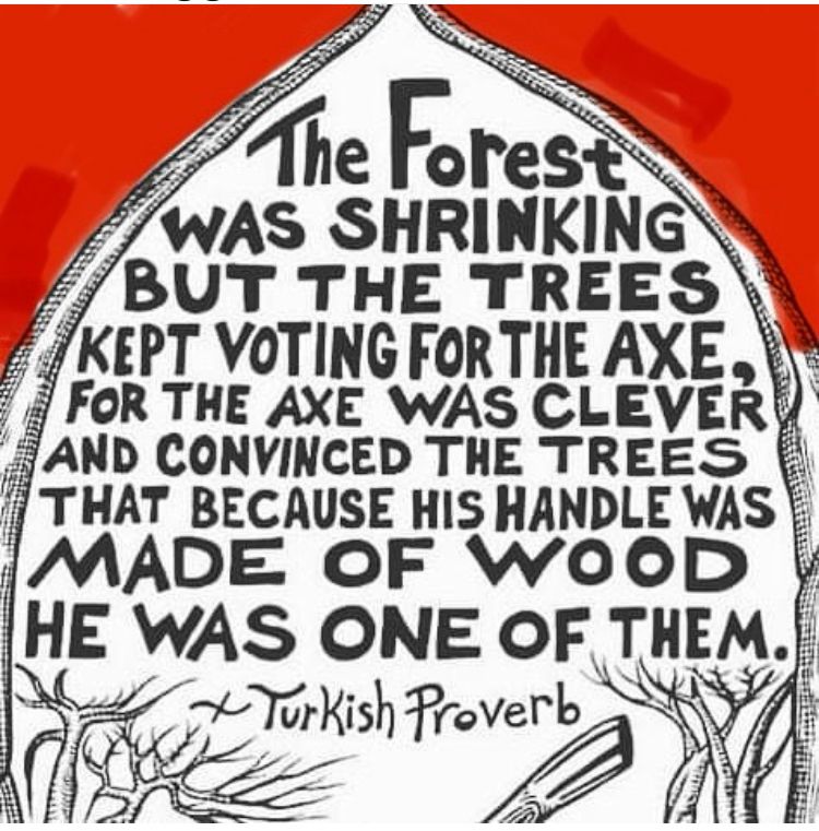 A picture of a Turkish proverb