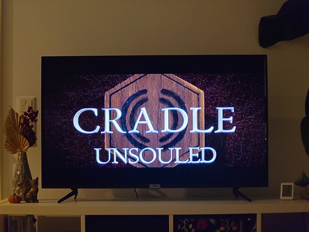 Screencap of a tv with the words Cradle Unsouled