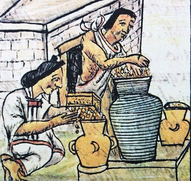 An older depiction showing an Aztec man and woman placing grains of corn into pots and baskets.