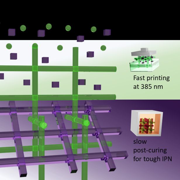Sequential curing of first a radical network during 3D printing and second a cationic network during post-curing into an interpenetrating network.