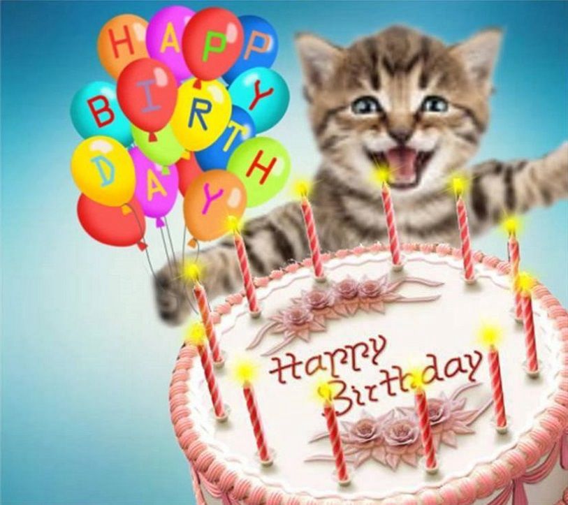 Happy birthday balloons and cake, with a happy cat