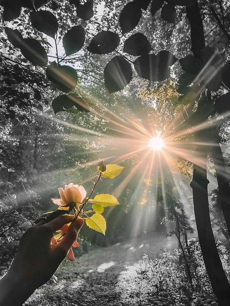 Good morning,  resisters!
Have a great Monday 
