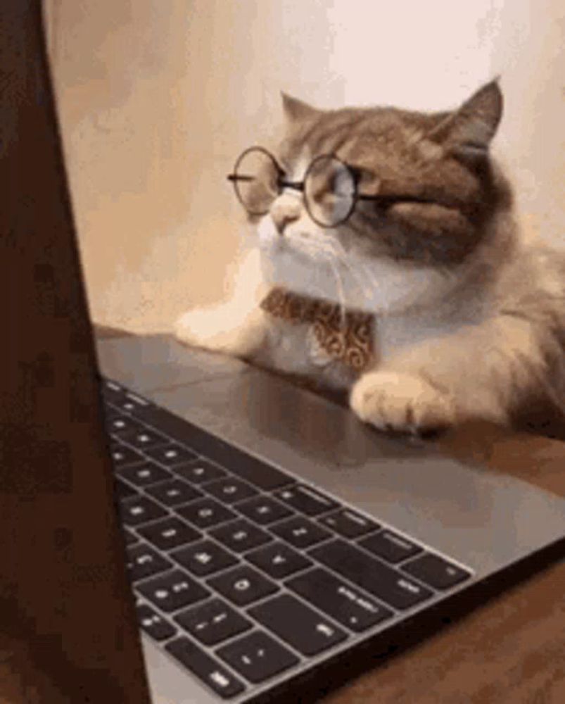 a cat wearing glasses and a bow tie is sitting in front of a laptop computer .