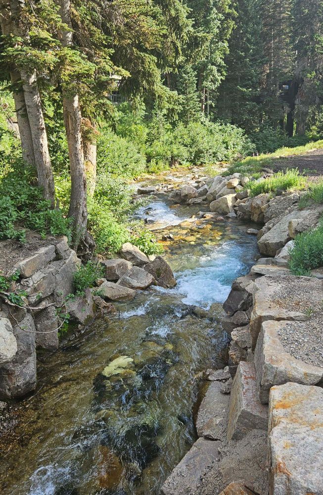 A small river surrounded by light rocks and trees.