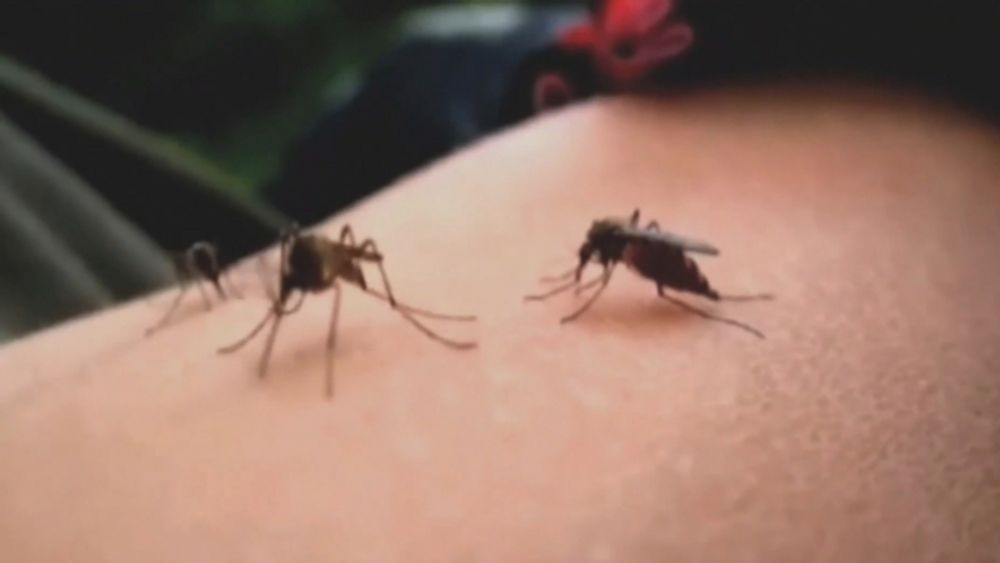 Another mosquito-borne illness confirmed in Wisconsin