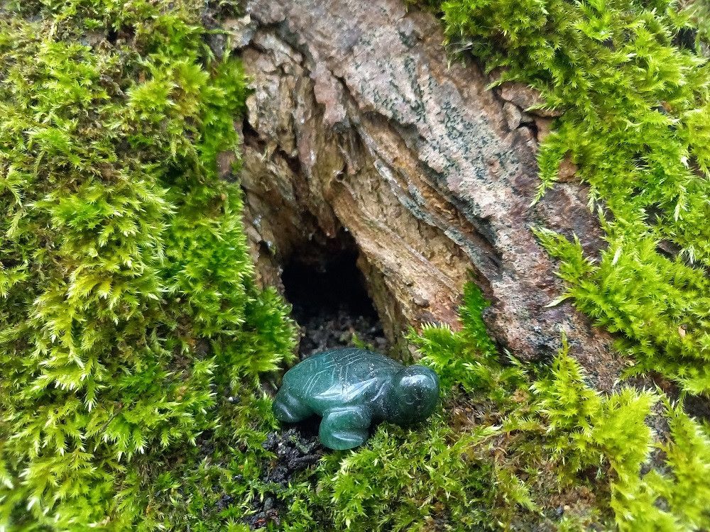 Small green stone turtle emerging from a crack in a moss-covered tree.