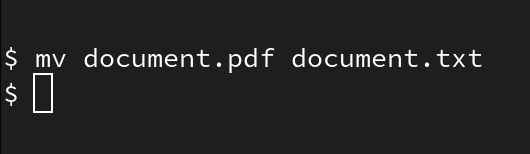 terminal screenshot:

mv document.pdf document.txt