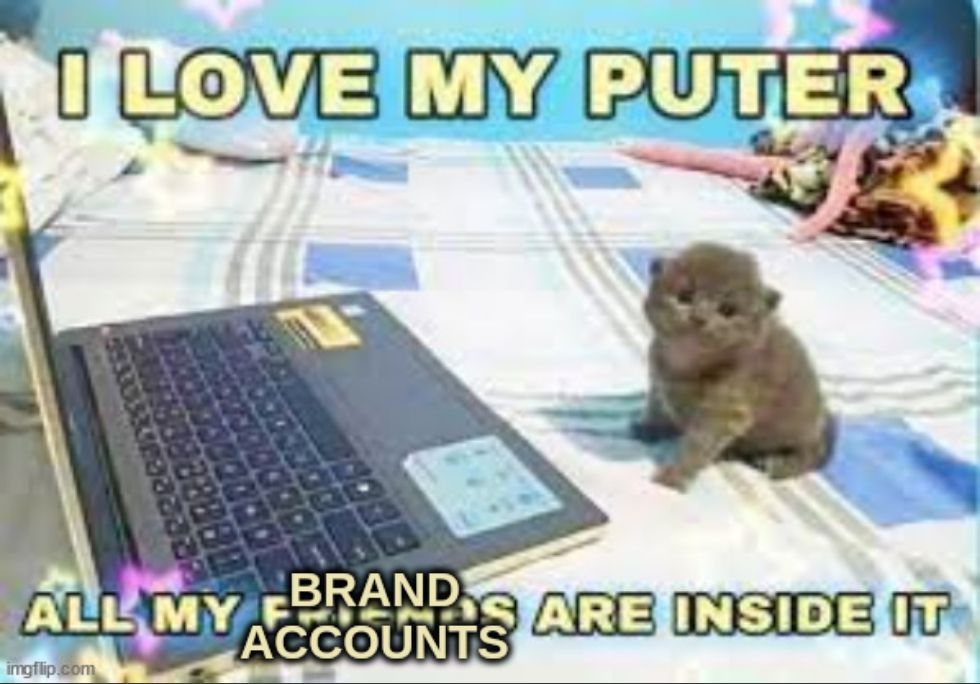kitten on laptop says:

love my puter

all my brand accounts are inside it