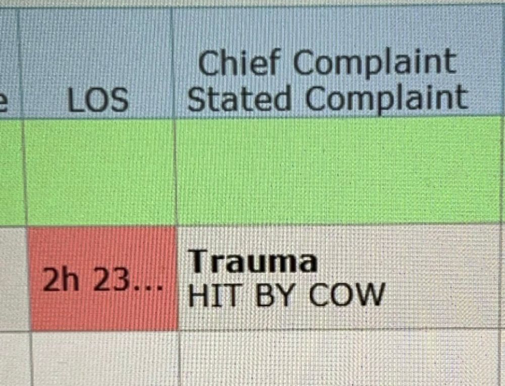 Screenshot of hospital screen with the text 'Trauma - hit by cow."
