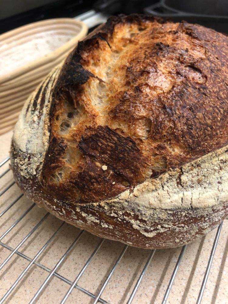 Freshly baked sourdough loaf.
