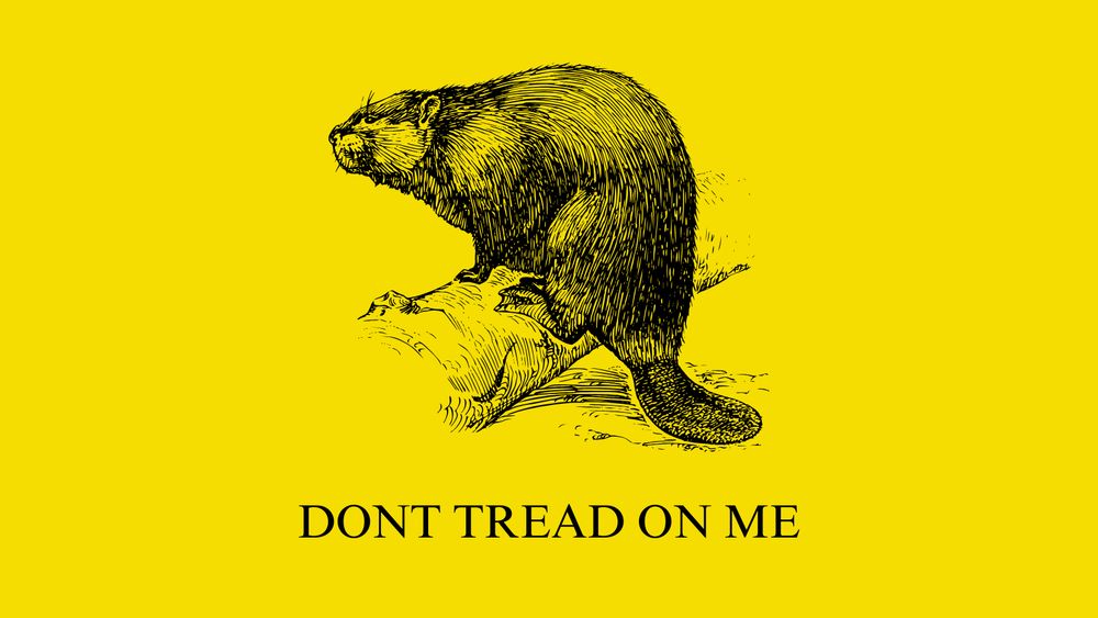 gadsden flag "don't tread on me" meme except with a beaver instead of a snake