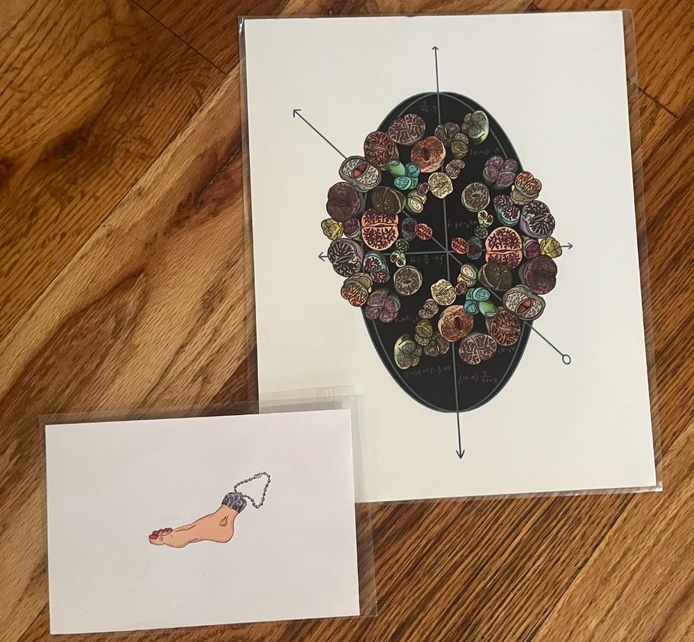 Two kinda tiny prints. A lucky humans foot 4x6 and an 8x10 of an xy-axis graph overlaid with an oval, some math functions, and lithops