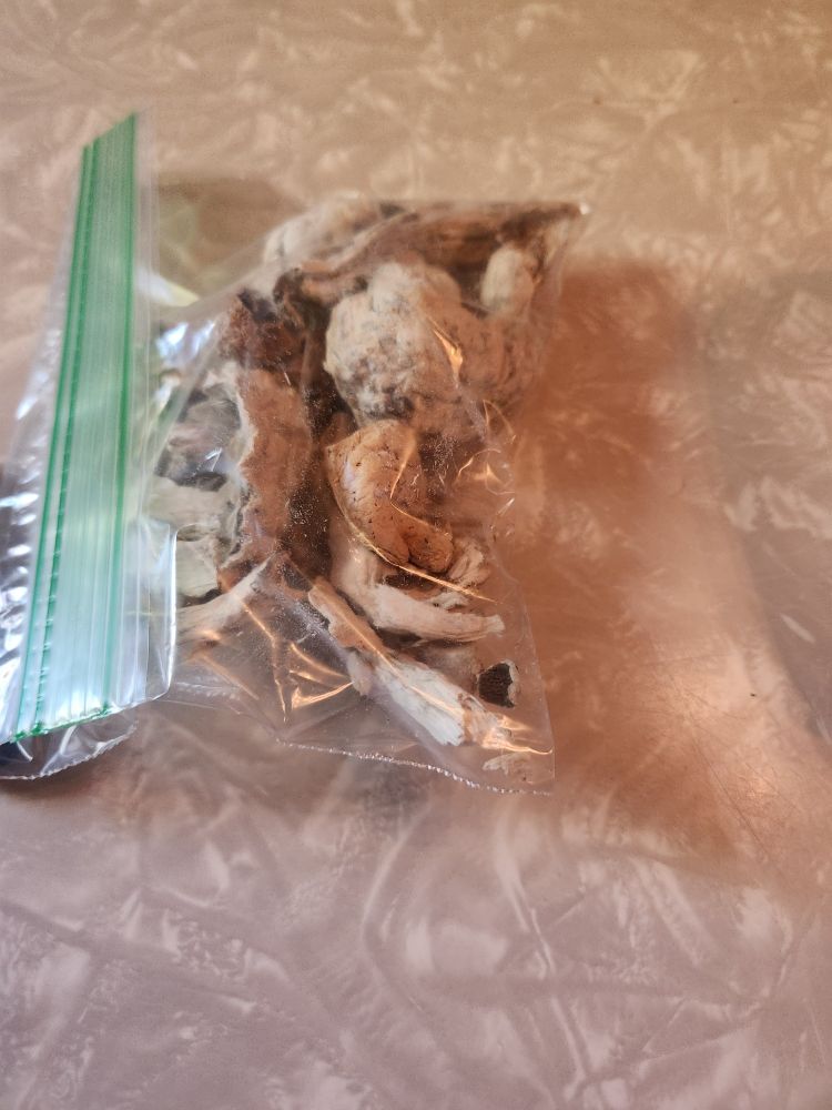 Half zip of PE shrooms