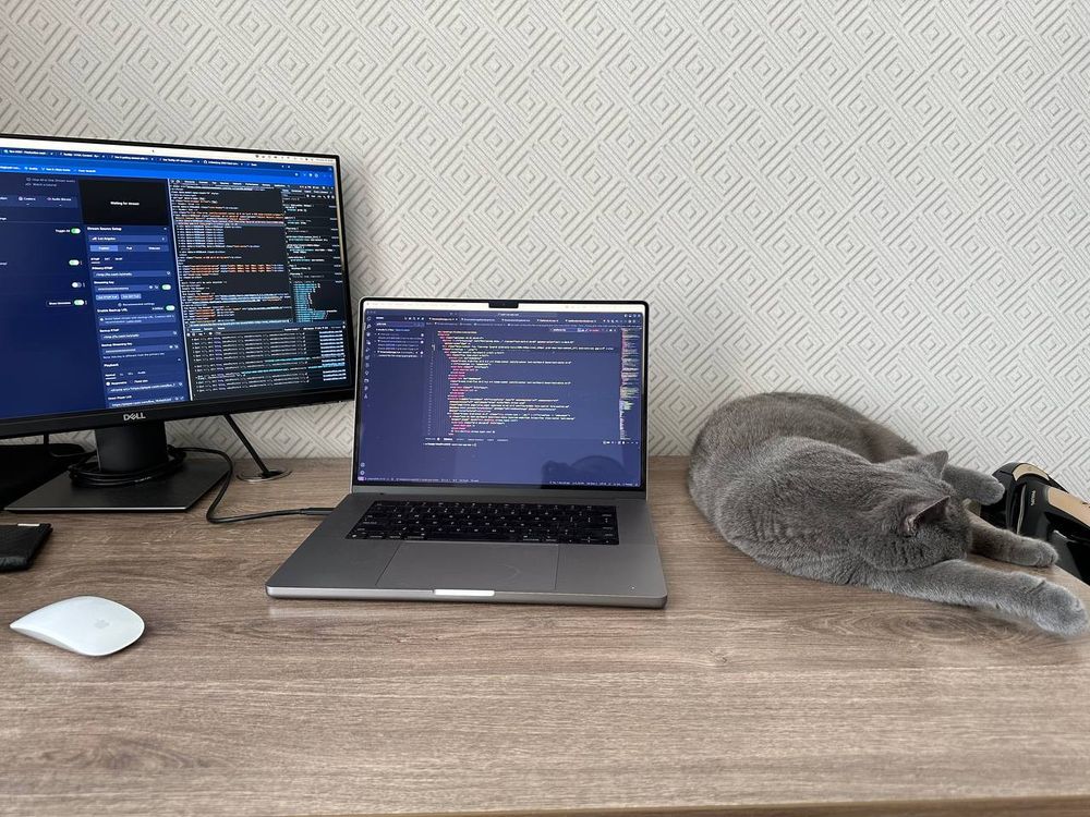working space with a monitor, laptop and the cat :)