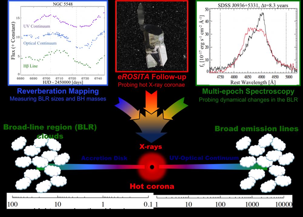 This image shows at the bottom a cartoon of an Active Galactic Nucleus, with X-rays produced by the central hot corona, and then the accretion disc and broad line region clouds further out. The top shows three images highlighting the science that Black Hole Mapper is focusing on, with X-ray follow-up in the centre, and reverberation mapping and multi-epoch spectroscopy located above the broad line regions on either side. Figure taken from https://www.sdss.org/dr19/bhm/about/