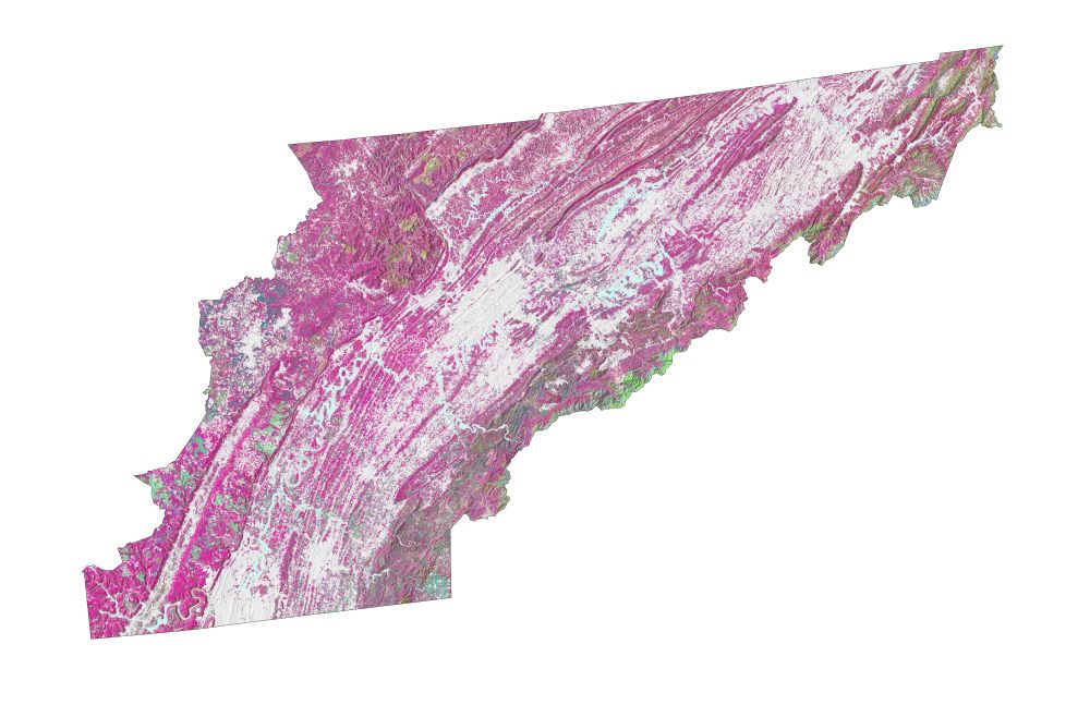 A map showing the original tree cover data over a light hillshade layer of East Tennessee. 