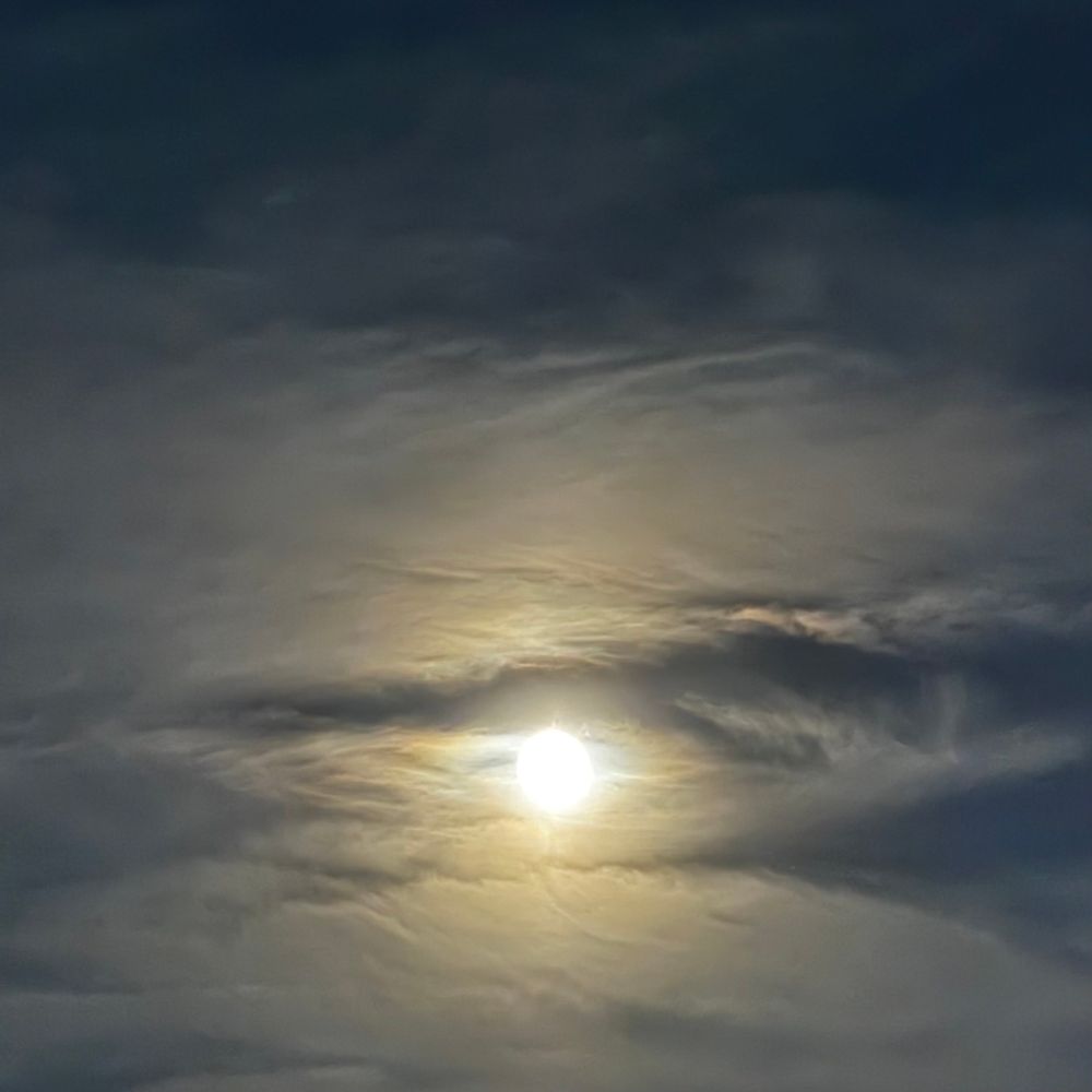 Bright full moon, soft filmy clouds. 