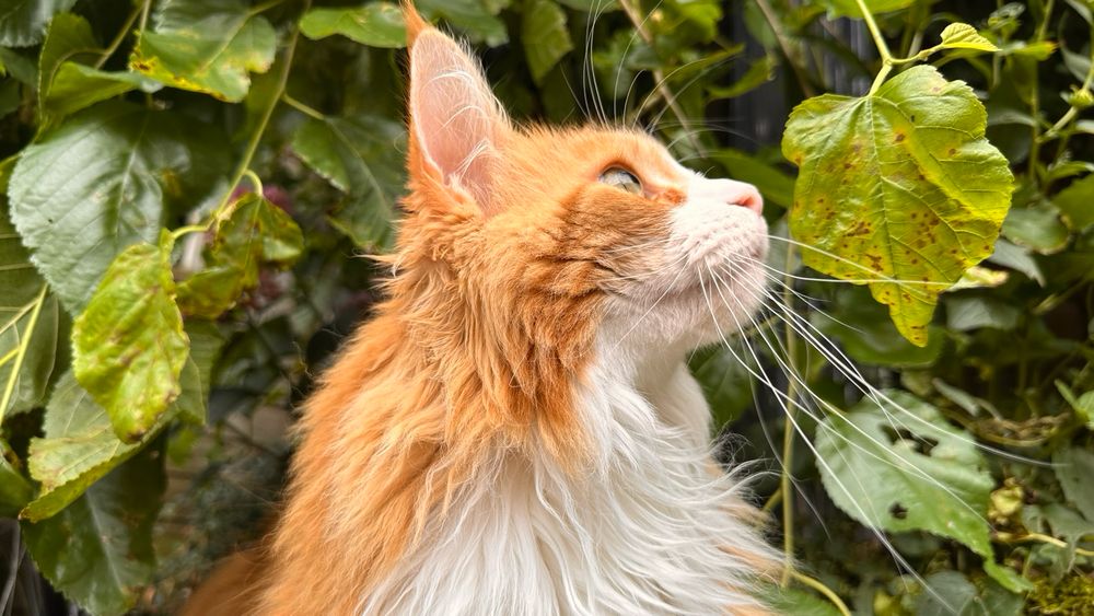 Looking to the right outside 