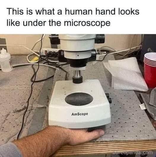 This is what a human hand looks like under the microscope looks like: