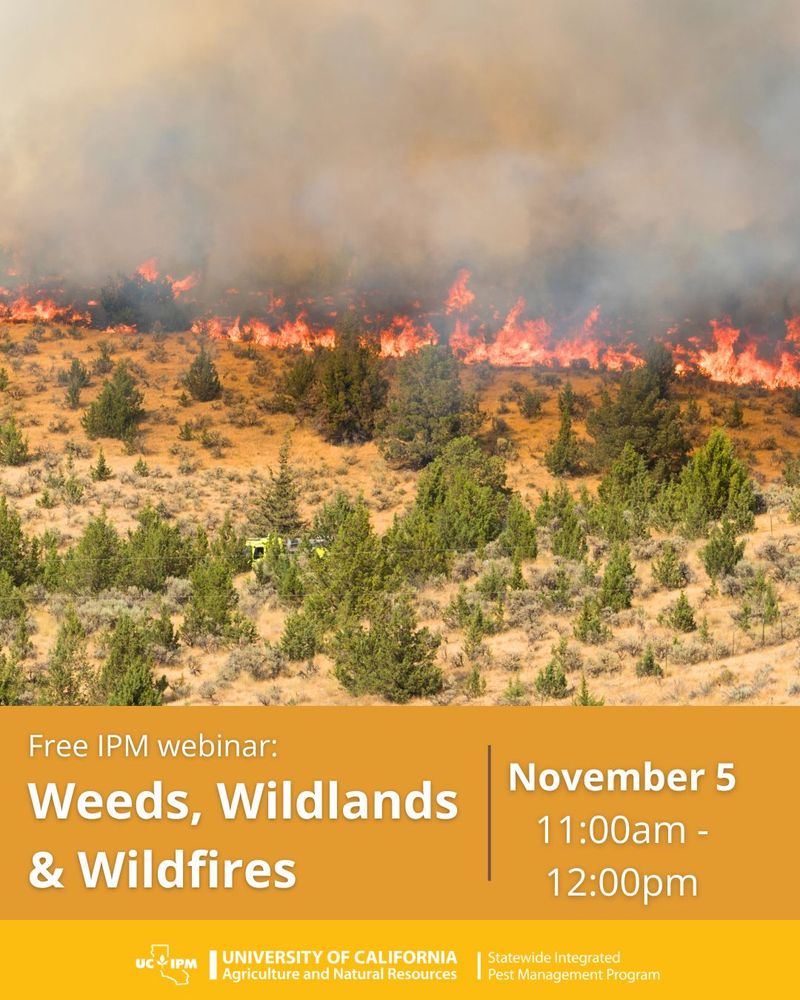 A photo of a wildfire sweeping across a natural landscape dotted with trees and shrubs. Below the image, there is text that says “Free IPM webinar: Weeds, Wildlands & Wildfires, November 5 11:00am to 12:00pm.”